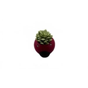 Ladybug Ceramic Planter with Artificial Succulent